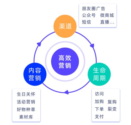破解私域增長難題，微動天下企量SCRM如何以精細(xì)化運(yùn)營賦能企業(yè)